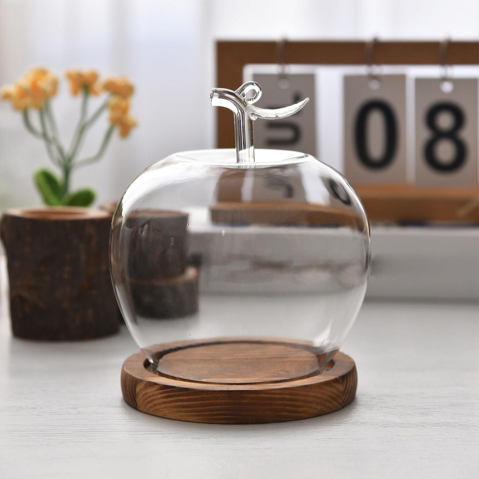 Glass Dome Fruit Shape Desktop - Home Decor Retail Stores avaliação e preço