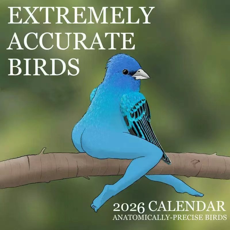 CALENDAR OF EXTREMELY ACCURATE - Home Decor Xmas Gifts avaliação e preço
