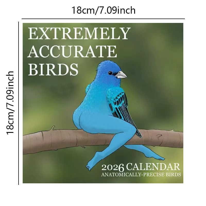 CALENDAR OF EXTREMELY ACCURATE - Home Decor Xmas Gifts avaliação e preço