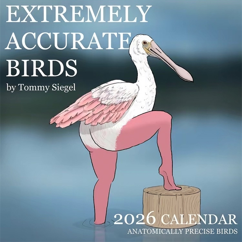 CALENDAR OF EXTREMELY ACCURATE - Home Decor Xmas Gifts avaliação e preço