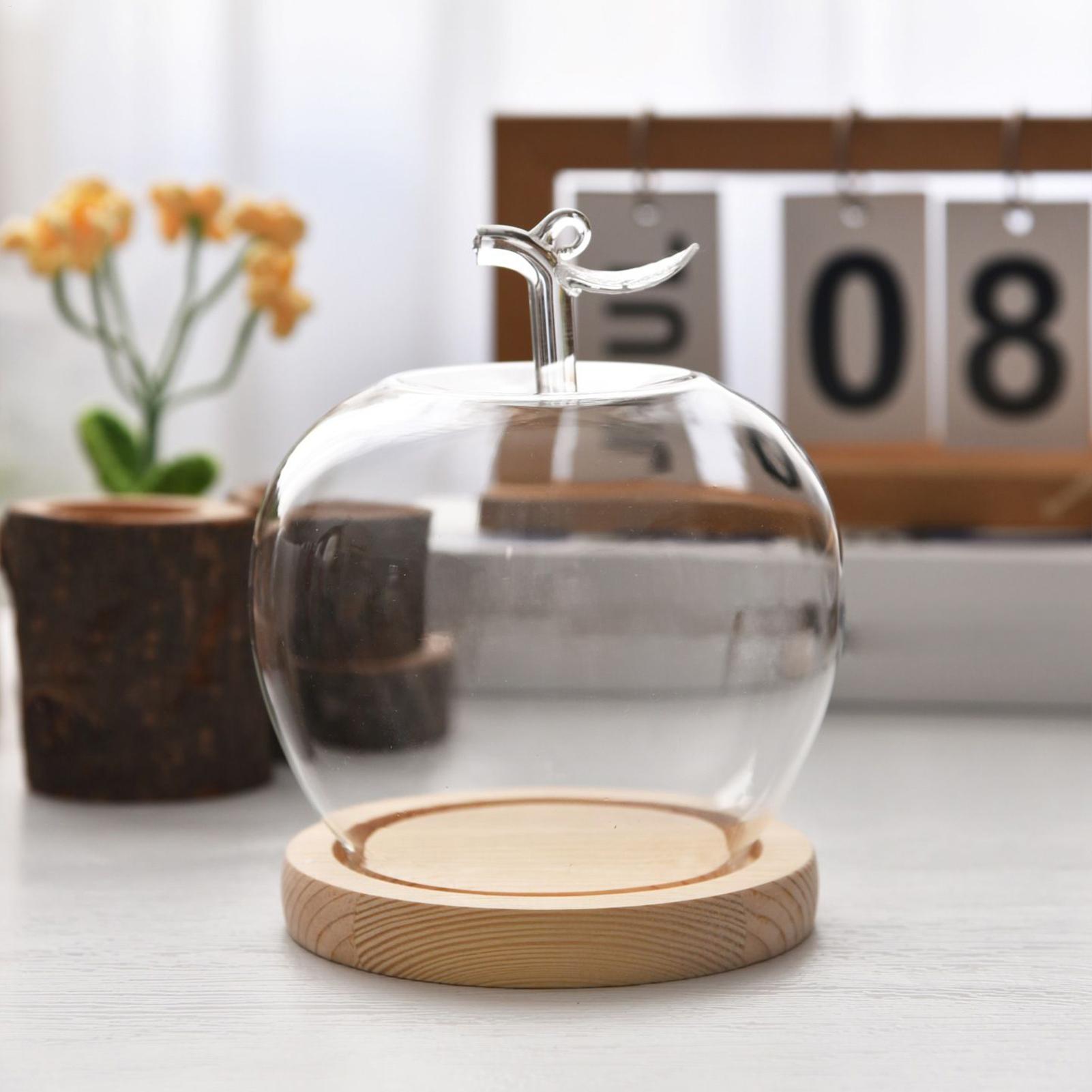 Glass Dome Fruit Shape Desktop - Home Decor Retail Stores avaliação e preço