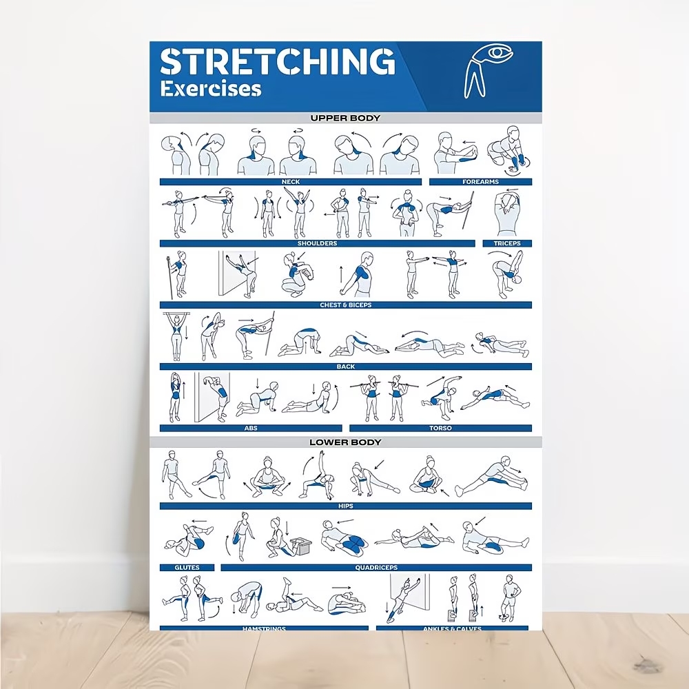 Modern Labeled Full-Body Stret - Home Decor Solution avaliação e preço