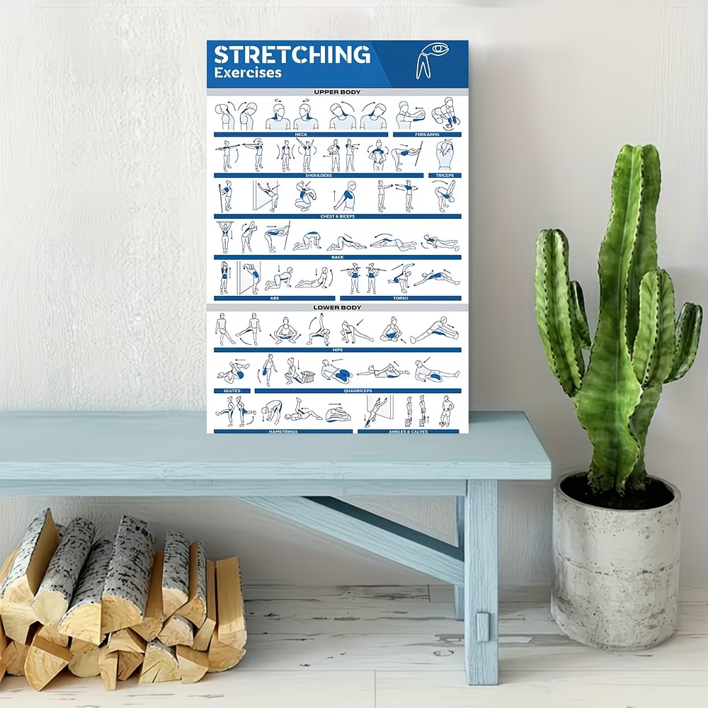 Modern Labeled Full-Body Stret - Home Decor Solution avaliação e preço
