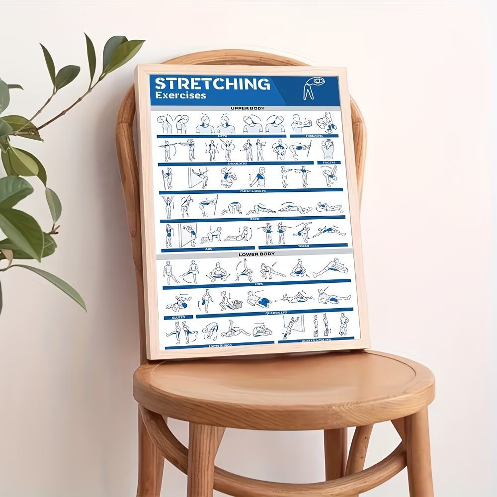 Modern Labeled Full-Body Stret - Home Decor Solution avaliação e preço