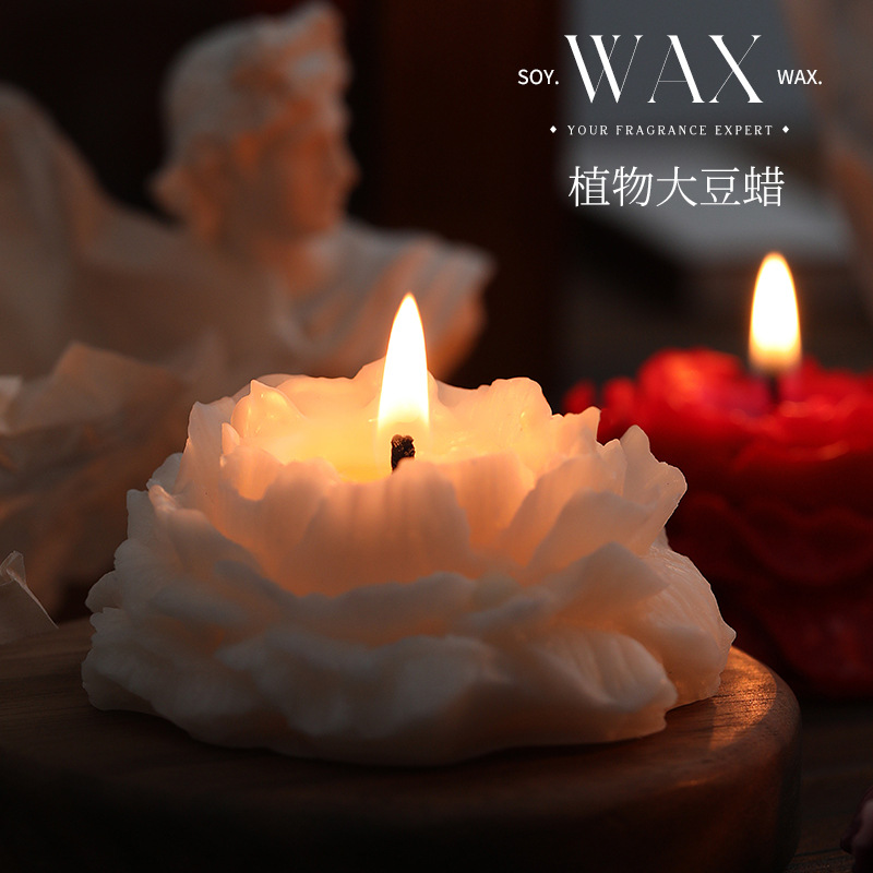 Camellia scented candles simpl - Home Decor Yoga avaliação e preço